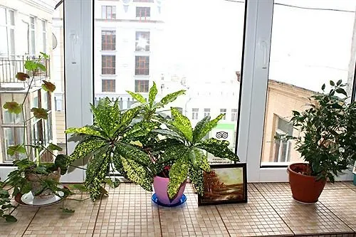 Salve Hostel Киев